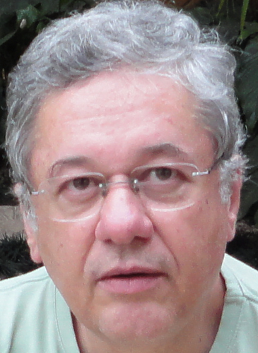 joseluizgraca's profile picture. 