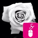 اللھم يٓ مالكك الكون اكفنيّ شر ماِا يكون قبل اِان يكون ♡♡