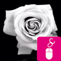 Maisaa (@mm778) 's Twitter Profile