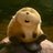 SubiaSofia's profile image