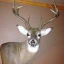 John Blanton Jr. - @Flek2740 - Twitter