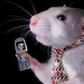 WirelessLabRat's profile picture. We're all lab rats in the global wireless industry's experiment on humanity to determine if exposure to microwave radiation is safe -