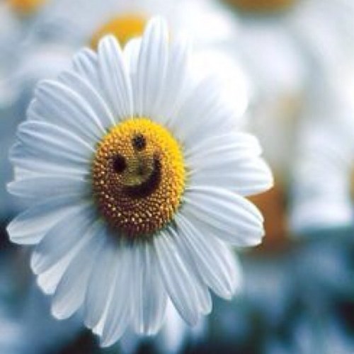 ne3am's profile picture. 