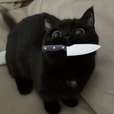 𝑩𝑳𝑨𝑪𝑲𝑪𝑨𝑻 — 🐈‍⬛