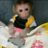 armadillo332's profile image