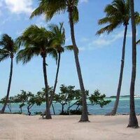 Marathon, FL Keys (@marathonflorida) 's Twitter Profile