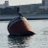 tom_zarro's profile image