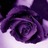 Beauty (@aagamorous) Twitter profile photo