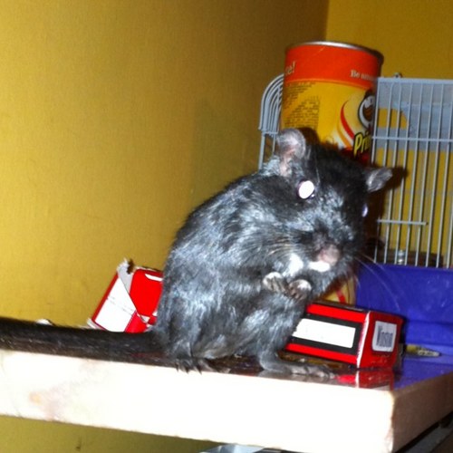 fjpv03's profile picture. soy un estudiante de ing. aeronautica. nacido en salamanca. humanista secular.