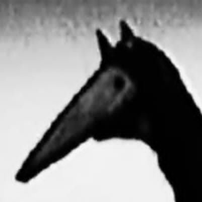 luciditatem est maledictum
