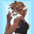 NFerret70011's profile image