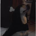 DragonLeeTina - @DragonLeeTina - Twitter