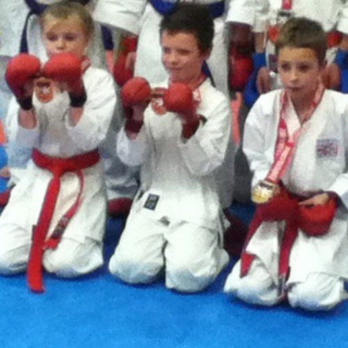 elisemorton1's profile picture. 