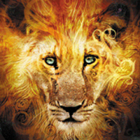 Official Narnia (@officialnarnia) 's Twitter Profile Photo