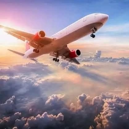 AnaLBacallao98's profile picture. 