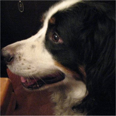 rinfeet's profile picture. 