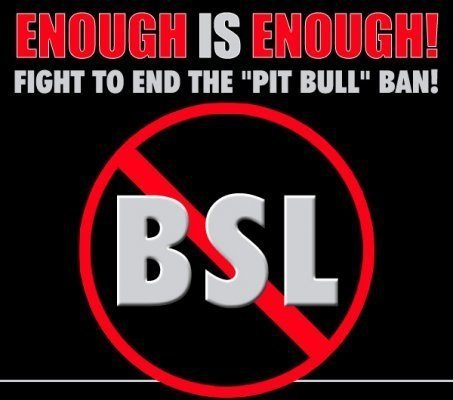 #BSL isn't based on scientific research. Breed bans wnt make u safer & the illusion that they'll do so is dangerous 2 humans & unfair 2 #dogs! #EndBSL #PitBulls