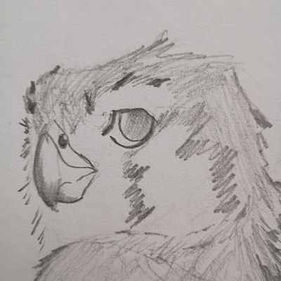 harrypinkle's profile picture. |26||lacks formal education||🏳️‍🌈Full Homo🏳️‍🌈| I mostly lurk, but like to say some dumb shit from time to time. #BlackLivesMatter 🇵🇸 #freepalestine