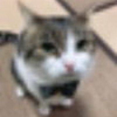 Kayla🏳️‍⚧️