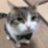 kaylagmd's profile image