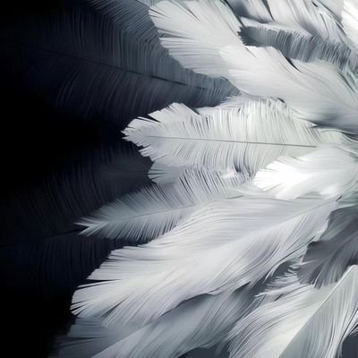 thariqashiq123's profile picture. ...