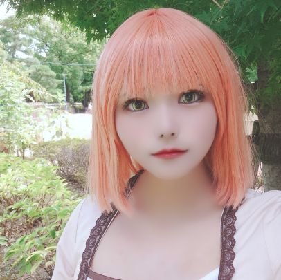 ハ ル 。