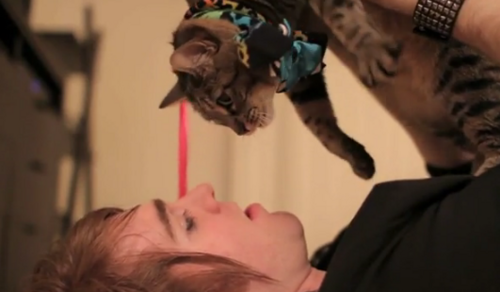 I'm SwitchBlade. I am a male cat. I'm only emo because @officialswitch_ is my owner. :P you can find me in the Emo Breakup 2 video :3