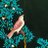 boo_k_oto's profile image