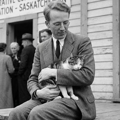 Purrlitics 🇨🇦🍊