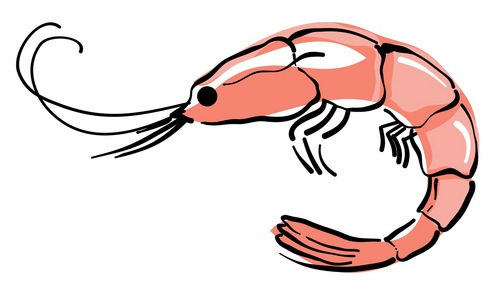 ChamberSWLA's profile picture. Advocating for the business community of Southwest Louisiana.