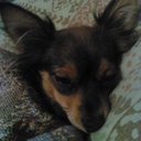 SusanCockerham1 - @SusanCockerham1 - Twitter