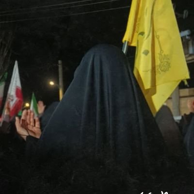 صنوبر ایرانی