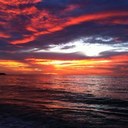 Barb Richards - @Aunty_barb - Twitter