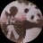 meru_ru00's profile image