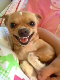 VikkiWalton's profile picture. 