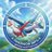 PokemonTCGPinfo's profile image