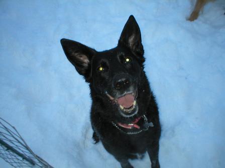 KathleenPirro's profile picture. 