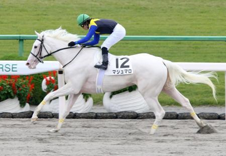 お馬さん大好きです！！ 好きな馬はノアノハコブネ！ 競馬が好きな人もそうでない人も気軽にフォローしてください！！ No Horse No Life ! プラス収支です！WIN5は過去3回的中。一緒に万馬券当てましょう！