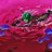 1SPJ__'s profile image