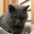 maru_to_me's profile image