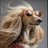 coxstephanie18's profile image