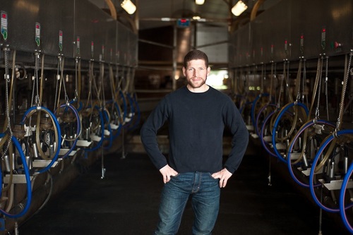 Milking cows in Copetown, Ontario; the hub of the universe.