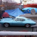 Karen Burden - @newfiefan - Twitter