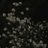 6512Mhs40262's profile image