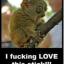 Trish Gallagher - @littletish - Twitter