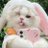 ZehraP63448's profile image