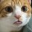 under16897645's profile image