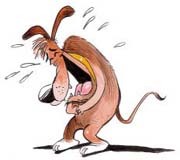 kvalanne's profile picture. You don't need a weatherman to know which way the wind blows - Bob Dylan