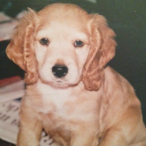 yarismo's profile picture. 