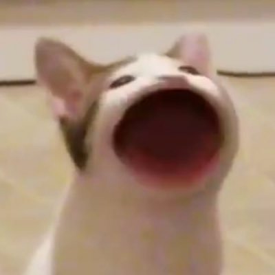 와앙